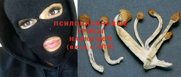 спайс Нефтегорск