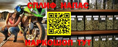 спиды Кимры