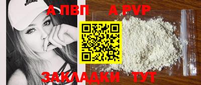 амф Кингисепп