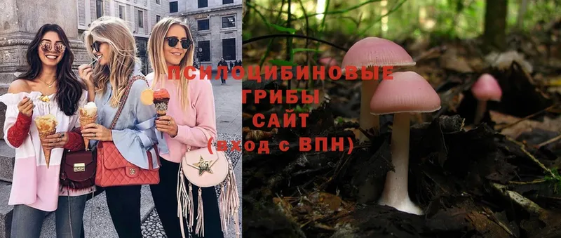 Галлюциногенные грибы Magic Shrooms  что такое наркотик  Миасс 