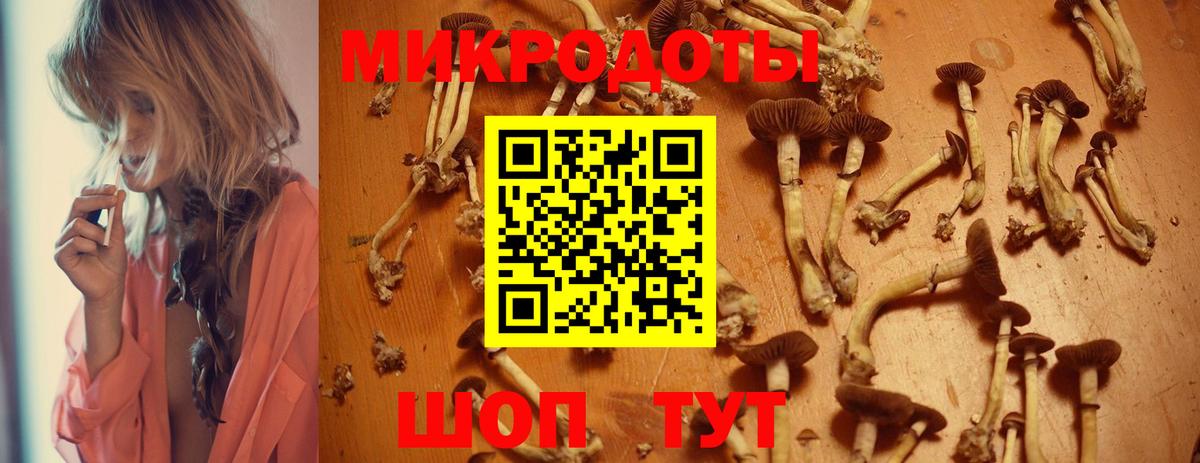 Миасс  Псилоцибиновые грибы Magic Shrooms  Вход с VPN 